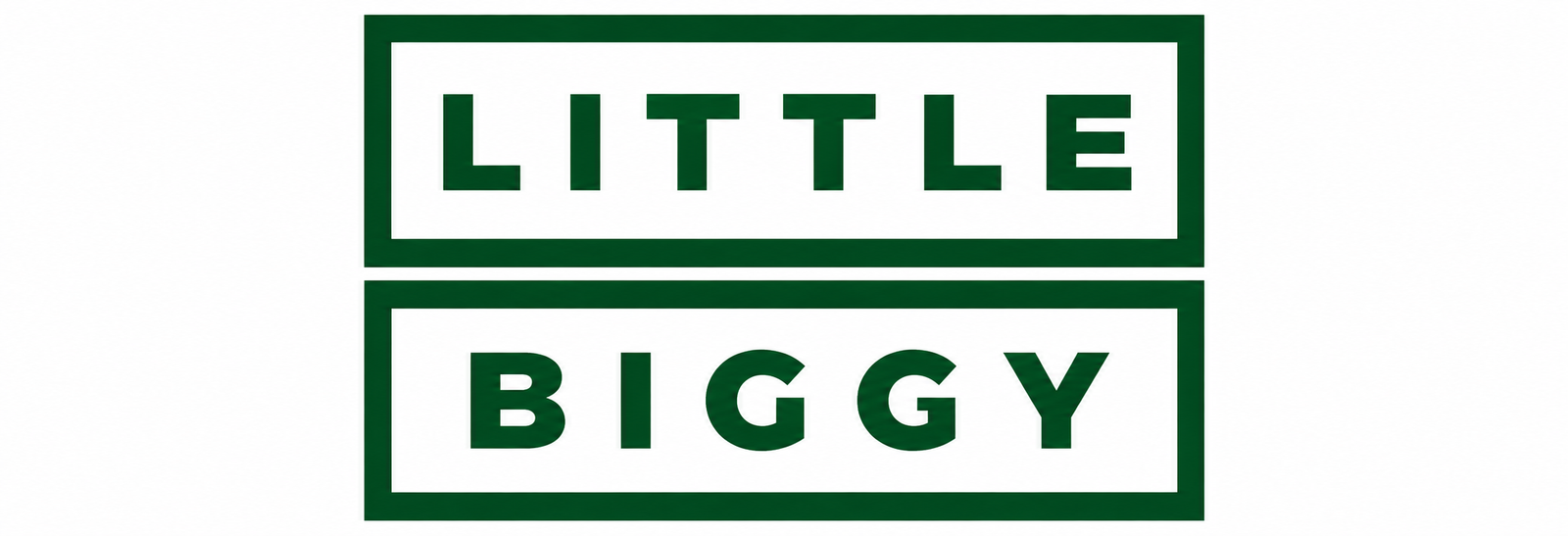 littlebiggy
